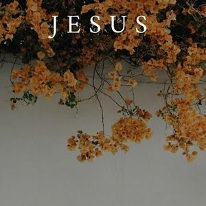 Meet your Posher, Altius